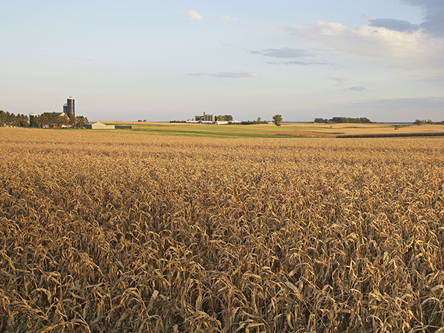 Is the cropland market poised to step off historically high prices? Here&#039;s what some of the top appraisers in the business think. (DTN/Progressive Farmer photo by David L. Hansen)